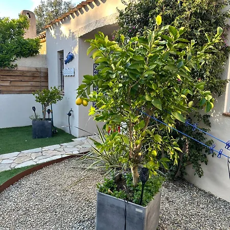 Casa Blu Imperiale * Lecci